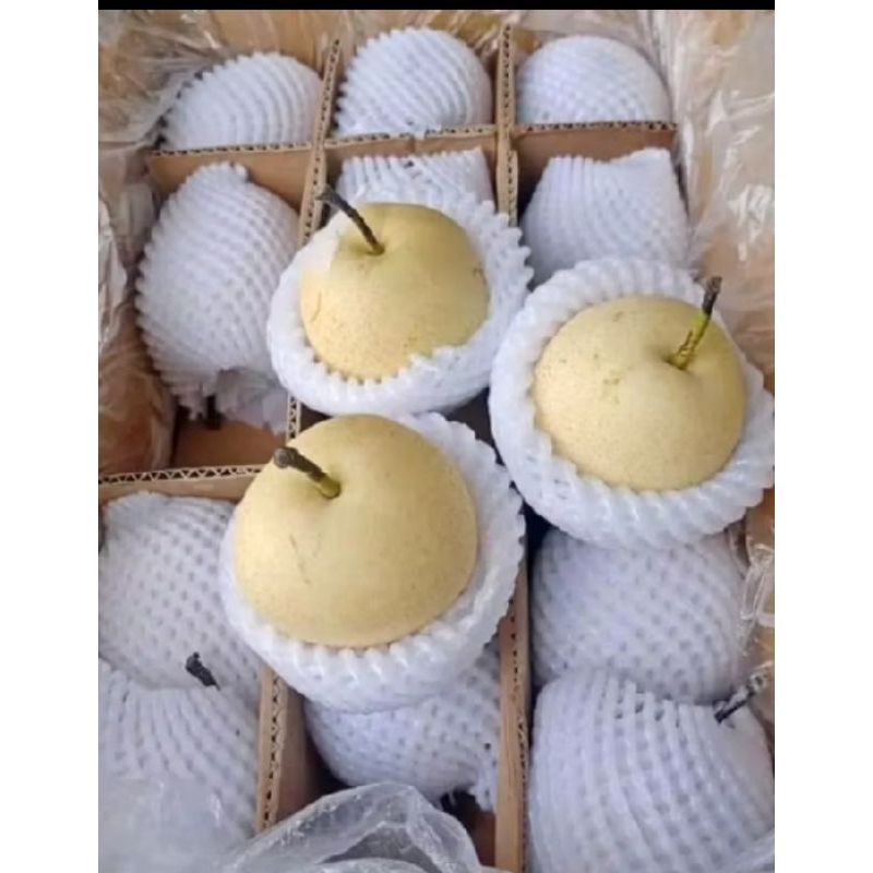

Pir Century Pir Madu Manis
