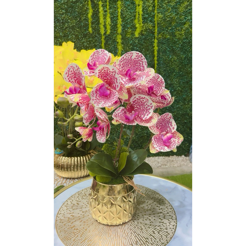 Bunga Anggrek cymbidium latex super premium grad a