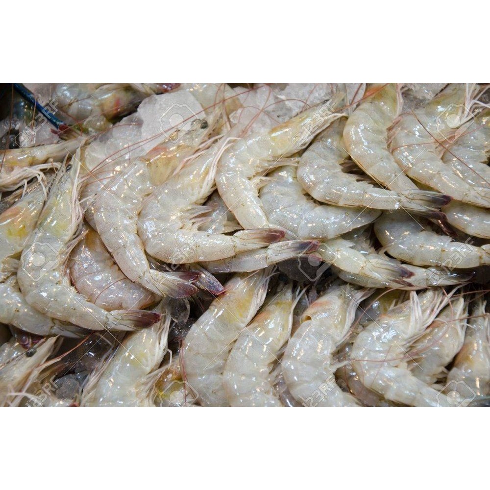 

Udang ukuran sedang area bandung cimahi