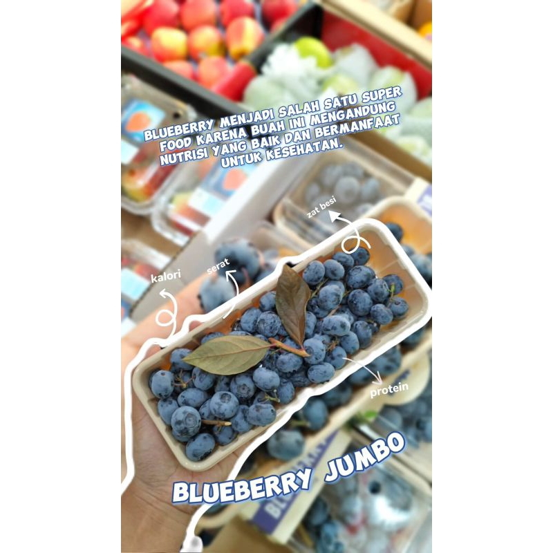 

BLUEBERRY CHINA JUMBO - HALONA