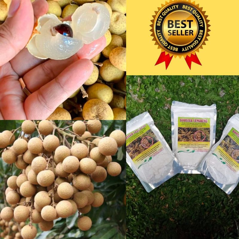 Kualitas Terjamin.. Booster Klengkeng Kclo3, Booster Klengkeng Murni