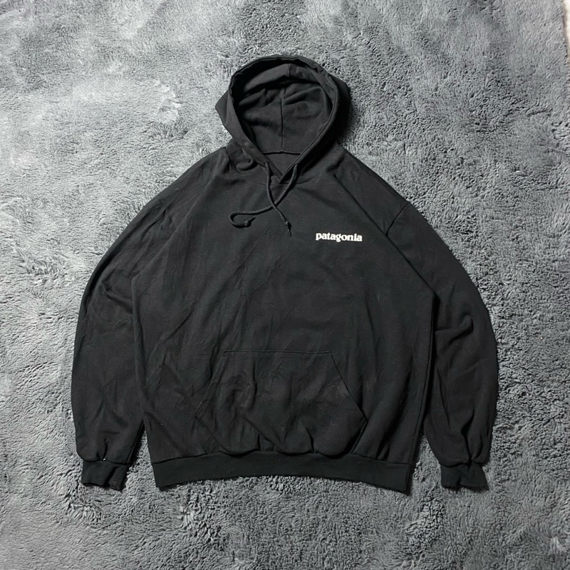 Hoodie Patagonia