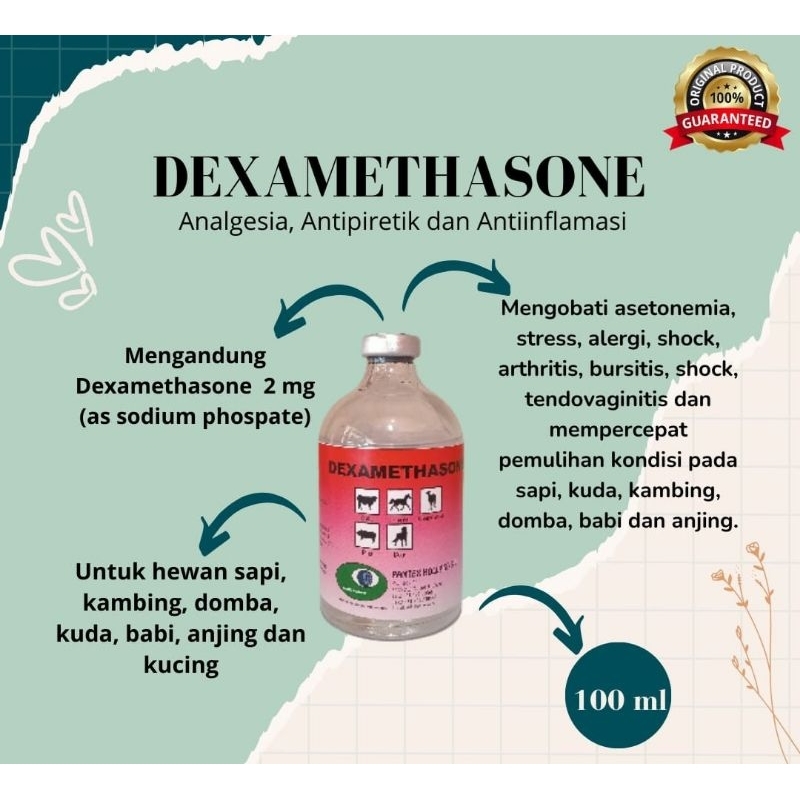 DEXAMETHASON 100ml mengurangi rasa nyeri pada hewan (sapi, kuda, kambing, domba, babi, anjing)