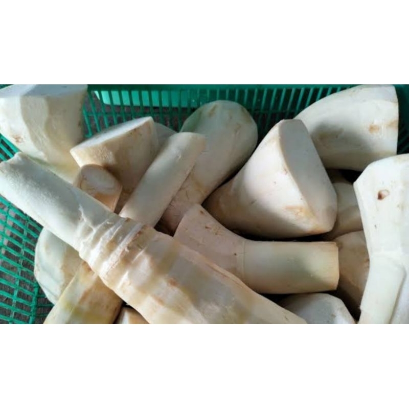 

iwung / rebung bambu muda sayur 1 kg