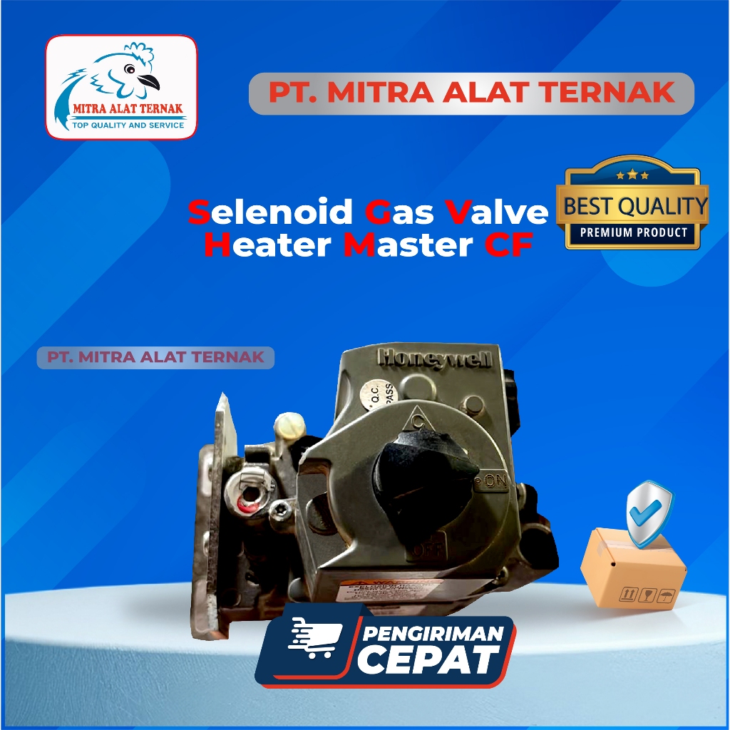 Selenoid Gas Valve - Heater Master