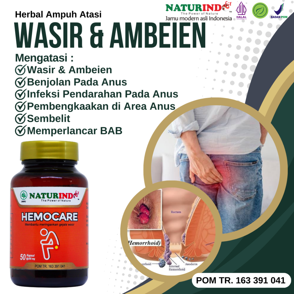 obat ambeien paling ampuh hilangkan benjolan obat ambeien paling ampuh stadium 4 obat ambeien wasir