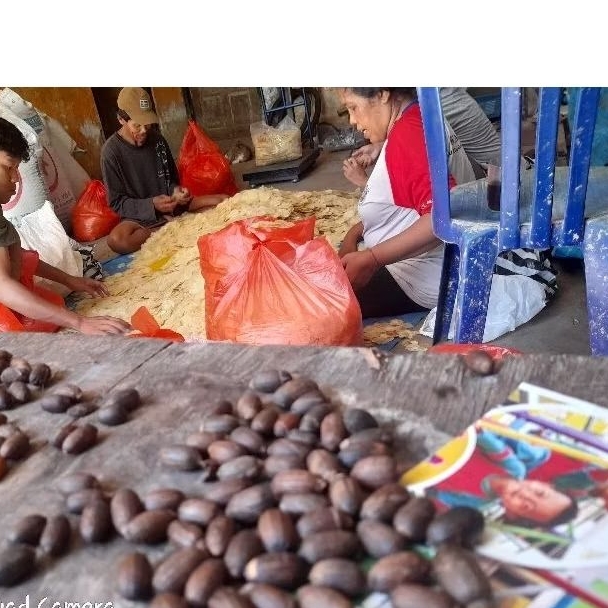 

Piscoklegit_ Emping Melinjo Kebumen Full Kering Uk Besar Per 5Kg