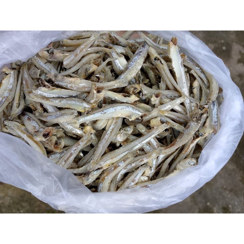 

Ikan Teri Medan