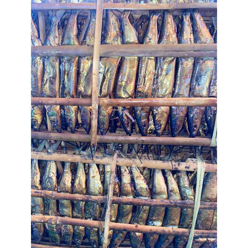 

Ikan Roa / Galapea