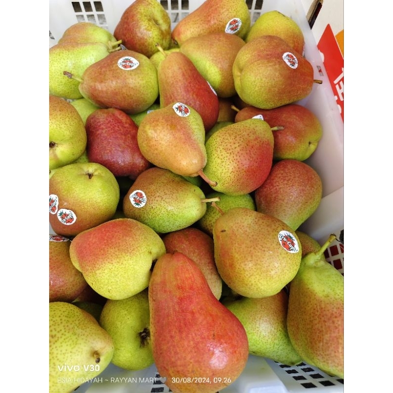 

PIR FORELLE 1 KG