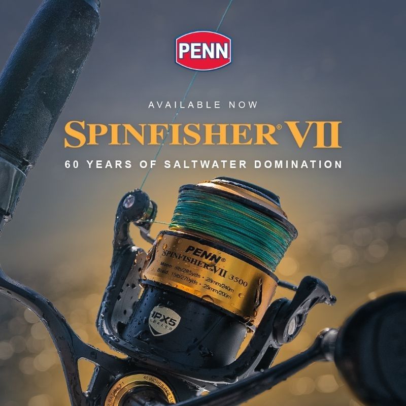 Reel PENN SPINFISHER VII