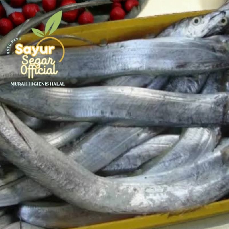 

Ikan Layur Segar 500gr / 1kg - KIRIM INSTAN