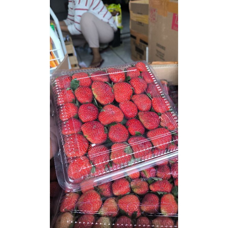 

STRAWBERRY FRESH - BUAH SEGAR STROBERRY ASLI 1KG MIKA BESAR