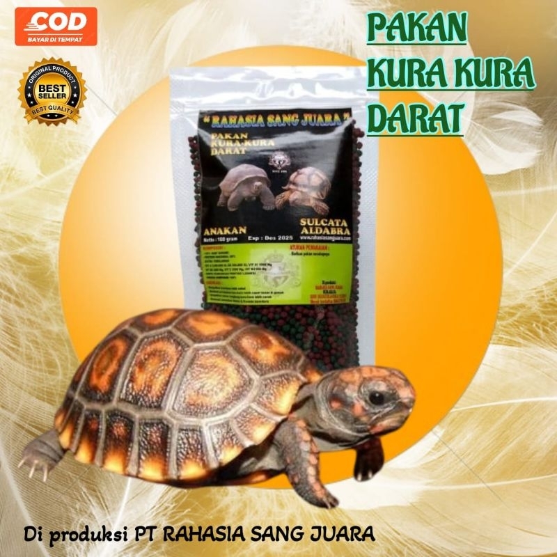 PELET KURA KURA DARAT Makanan Kura Kura Darat Sulcata Hermani Indian Star Pardalis Khusus Kura Kura 