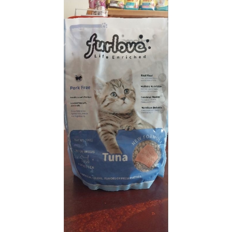 furlove kitten