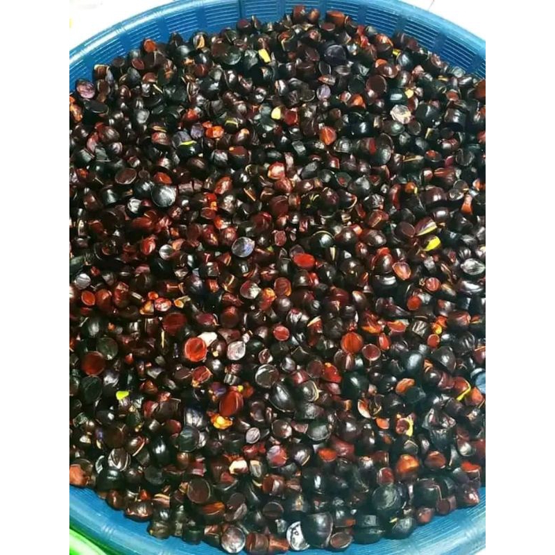 

jolang jaling, kabau, kuwau. berat 250g