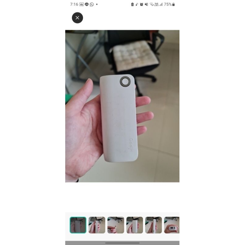Power bank hippo