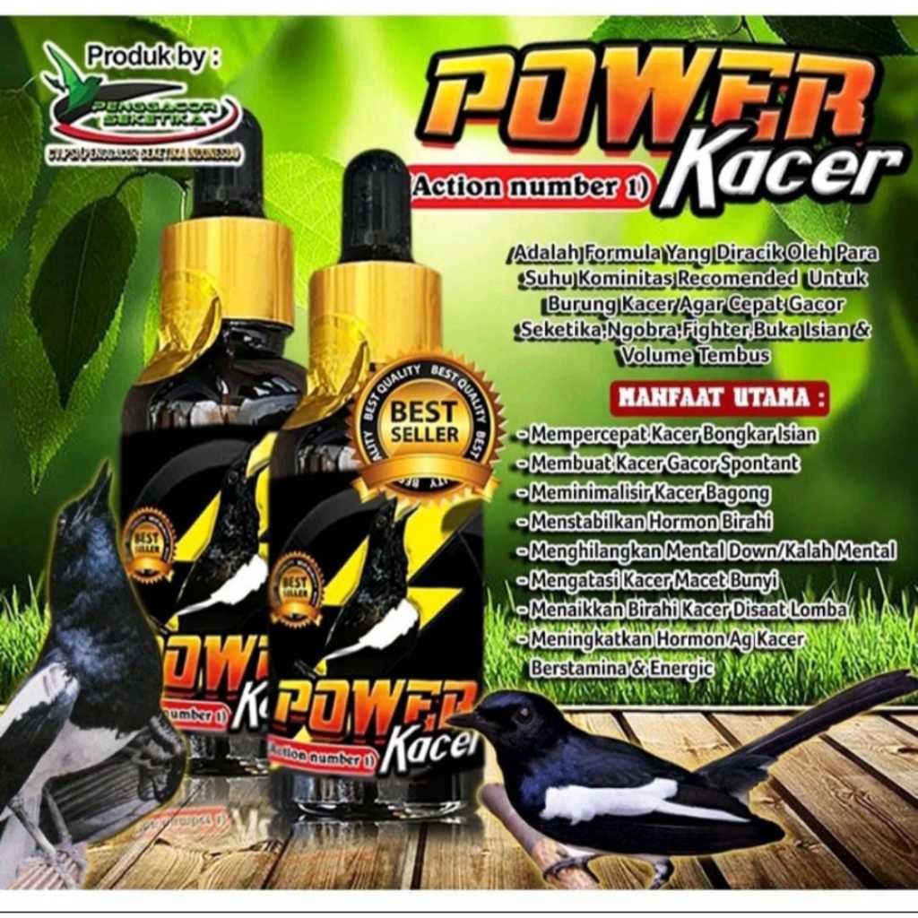 POWER KACER STRONG VITAMIN POWER KACER BMW PANGGACOR BURUNG KACER LOMBA DAN HARIAN
