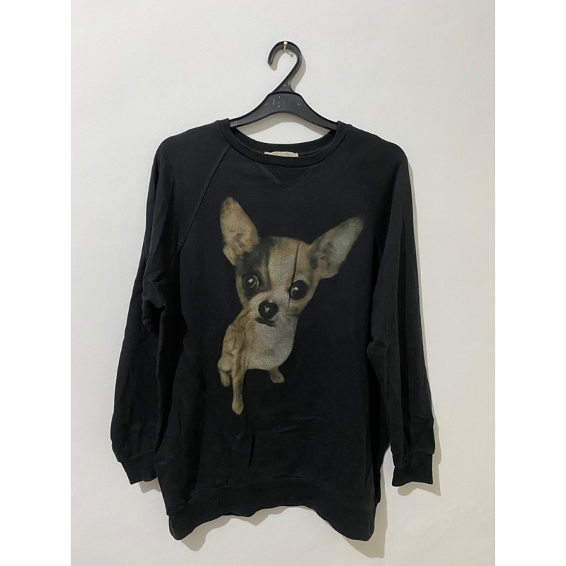 Baju Prelove Sweater Zara Chihuahua