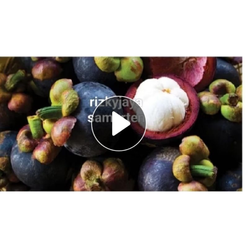 

Herbal buah manggis kap smt original isi 10