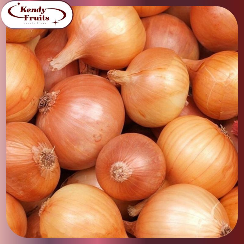 

BAWANG Bombay 1 Kg | Rempah Segar Fresh