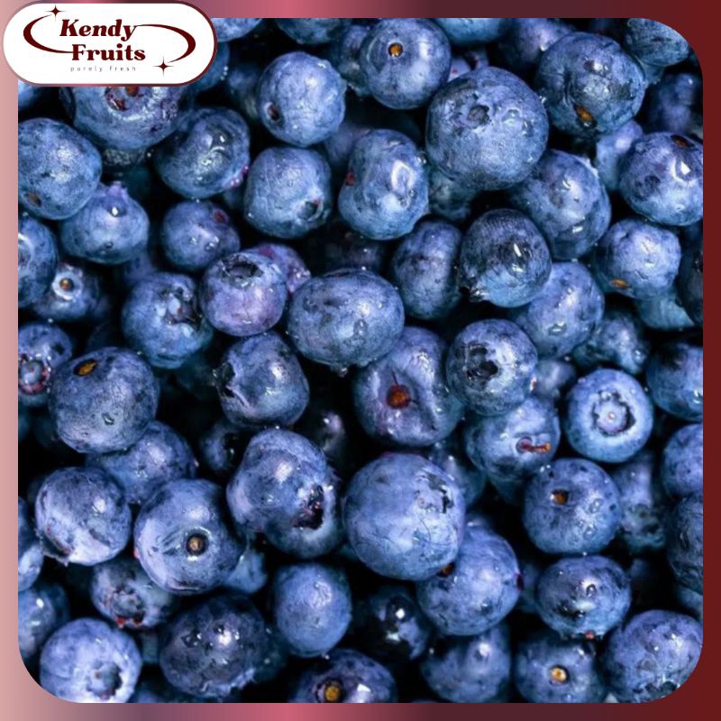 FROZEN Blueberry | Buah Berry Fresh Frozen
