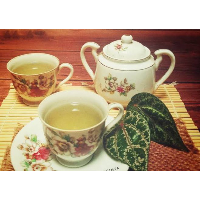 

Daun sirih suruh ramuan fresh petik pas mau di kirim isi 20 lembar