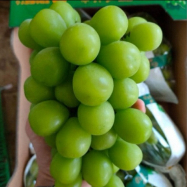 

Buah Anggur Hijau Shine Muscat Kiloan 1kg/ Anggur Shine Muscat SeedLess/Anggur Hijau Shine Muscat Tanpa Biji Manis (Melayani Via Gosend Instant)