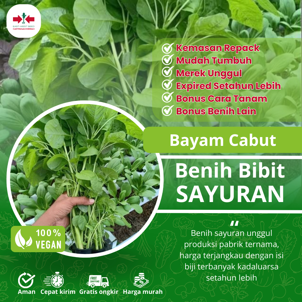 SUTAN Bibit Bayam Cabut Benih Tanaman Sayur Sayuran Benih Seribuan Hidroponik
