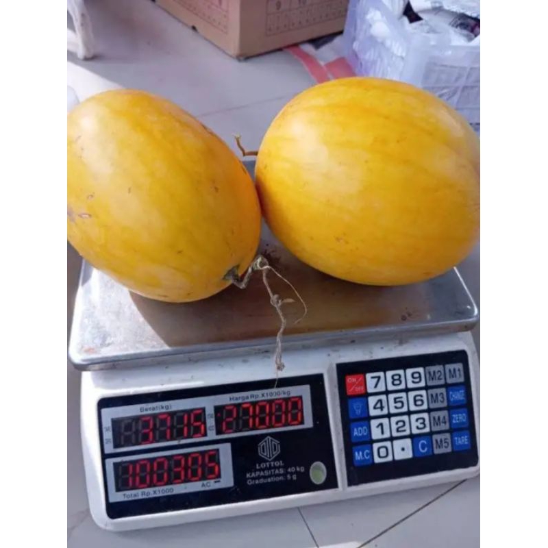 

Semangka Manis Madu Renyah Manis