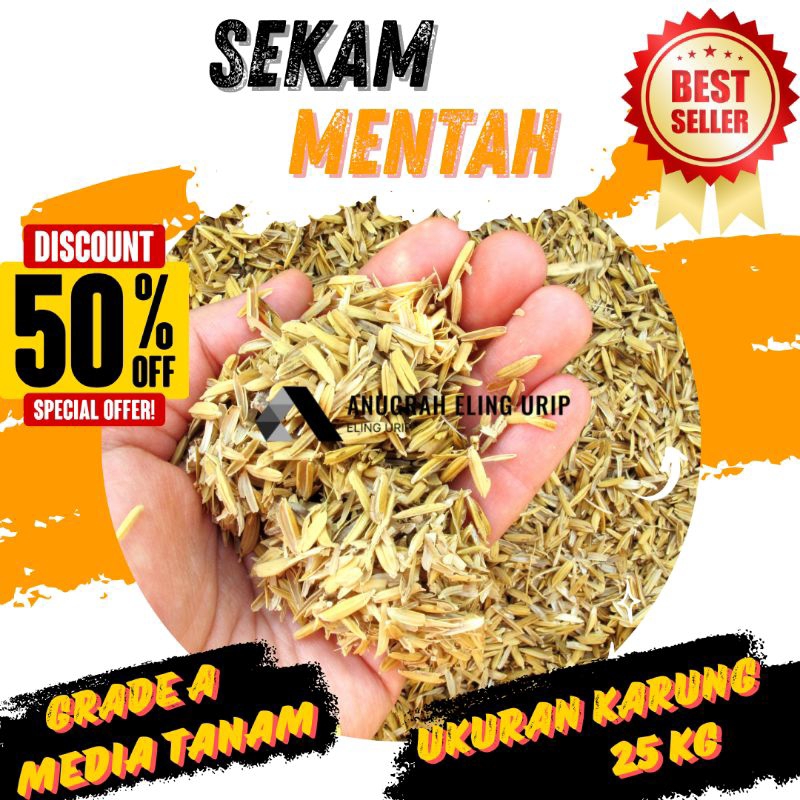 Sekam Mentah Untuk Media Tanam Sekam Mentah1 Karung Brambut Sekam Padi Karungan