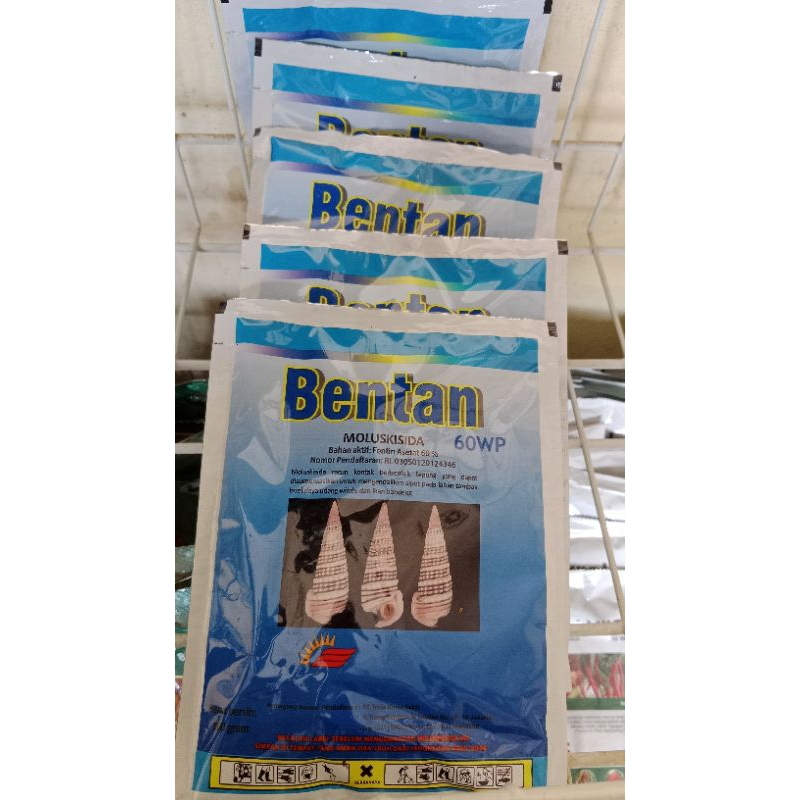 BENTAN 100gram ORIGINAL 100%