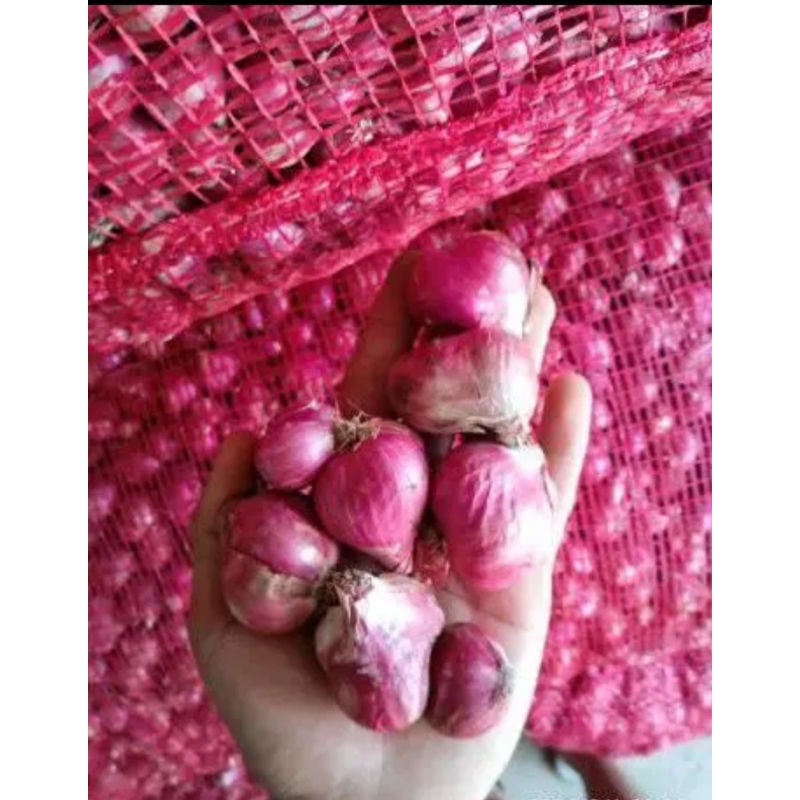 

BAWANG MERAH KEMASAN 250 GRAM