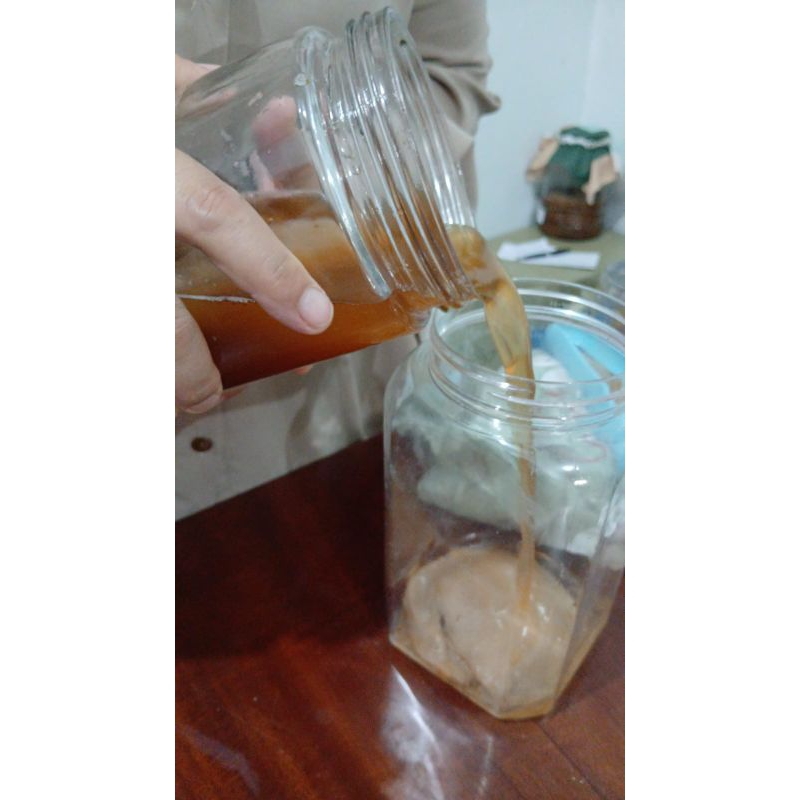 

Scoby (Starter Kombucha)