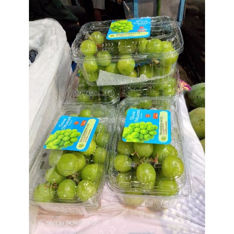 

anggur hijau shine Muscat 500gr
