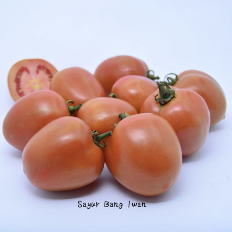 

Tomat Merah Sayur - Sayur Segar Setiap Hari