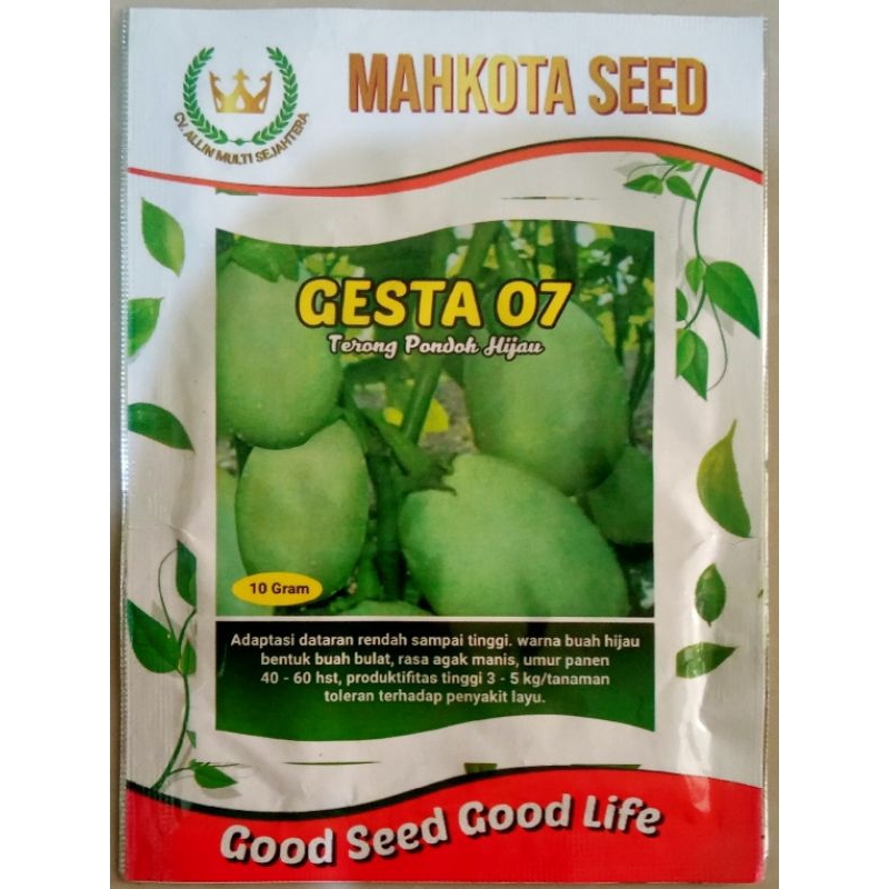 benih terong Pondoh hijau 10gr / terong Ronggo