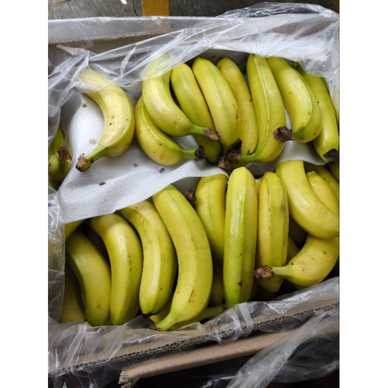 Pisang Cavendish Sunpride 1 dus 13 kg