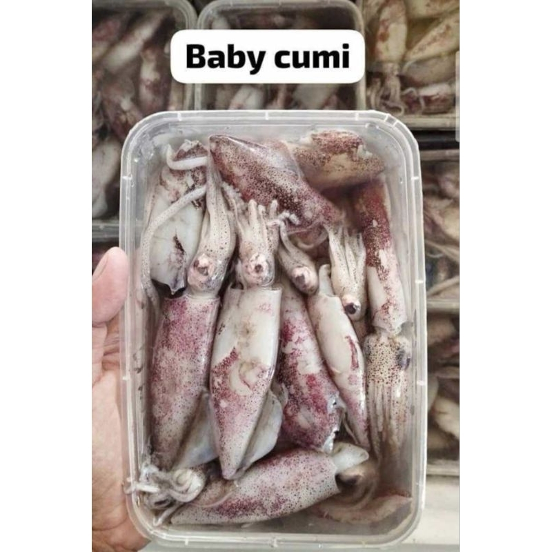 

Cumi baby 500gr