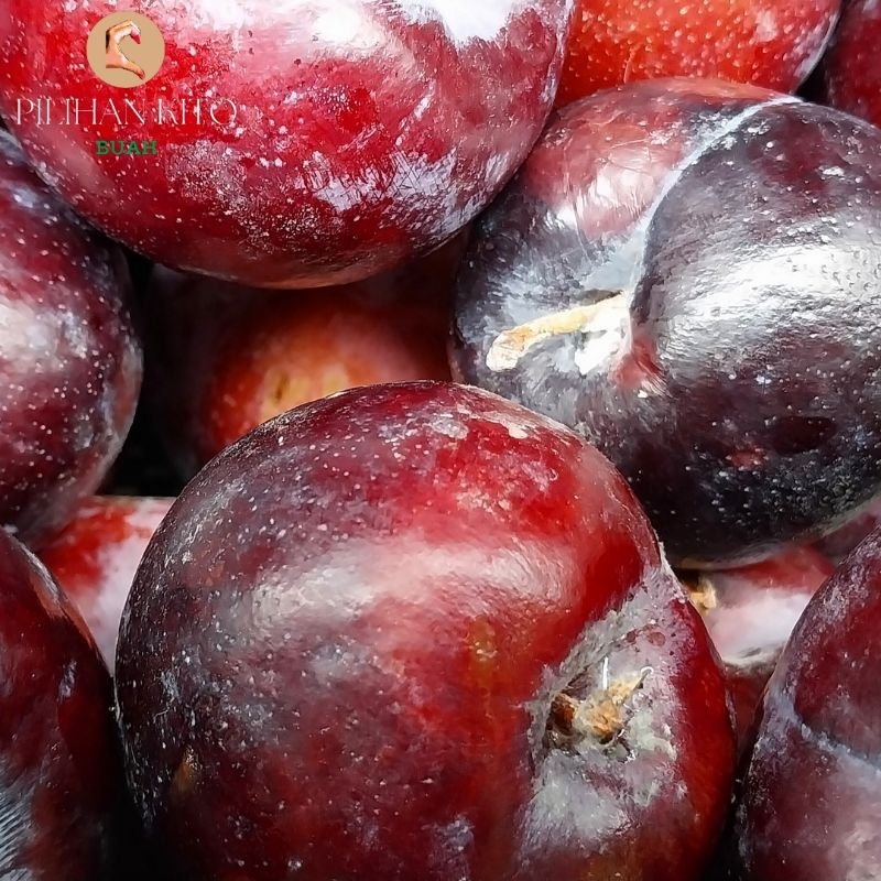

buah plum segar