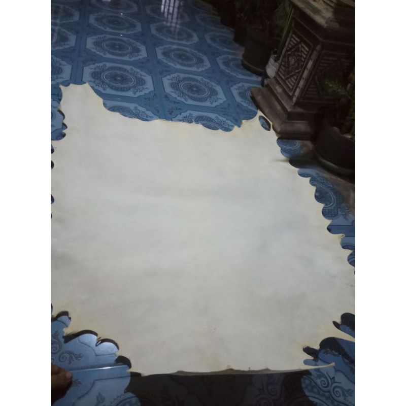 kulit ketipung/kendang