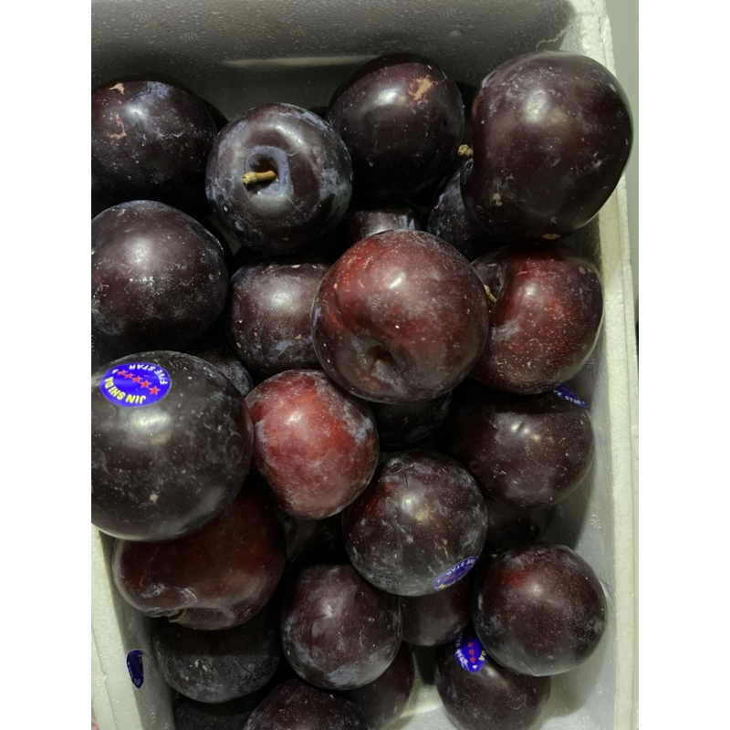 

buah plum berat 1 kg