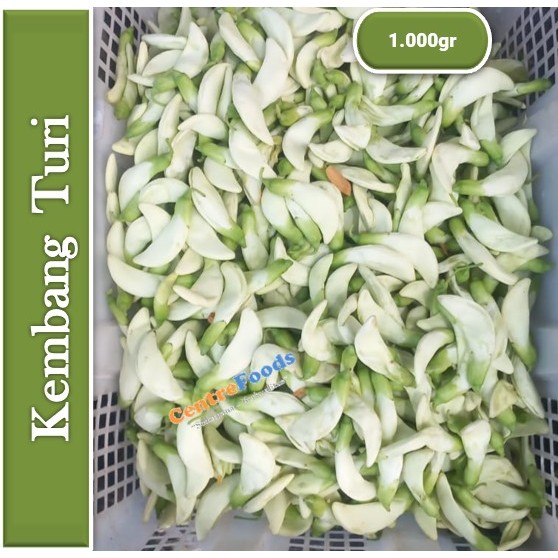 

Bunga Turi - Kembang Turi Fresh | 1.000gr [ Harga Per KG ]