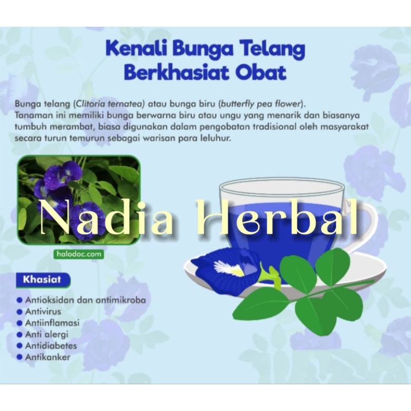 

Bunga Herbal Bunga Teleng Kembang Teleng Kering 3 Pic