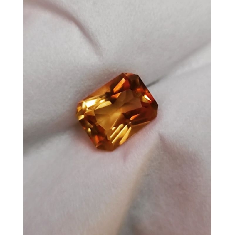 KECUBUNG KUNING JOSS KECUBUNG JEMAYAS KECUBUNG KUNYIT