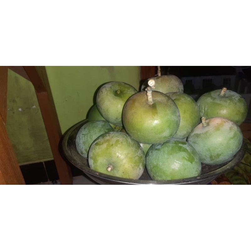 

mangga Apel mentah 1 kg