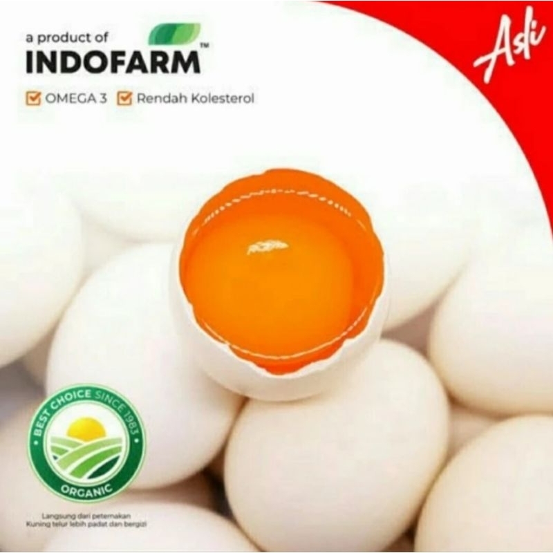 

TELOR AYAM KAMPUNG OMEGA ORGANIK INDOFARM EGGS BOX FULL DESIGN ISI 20 BUTIR