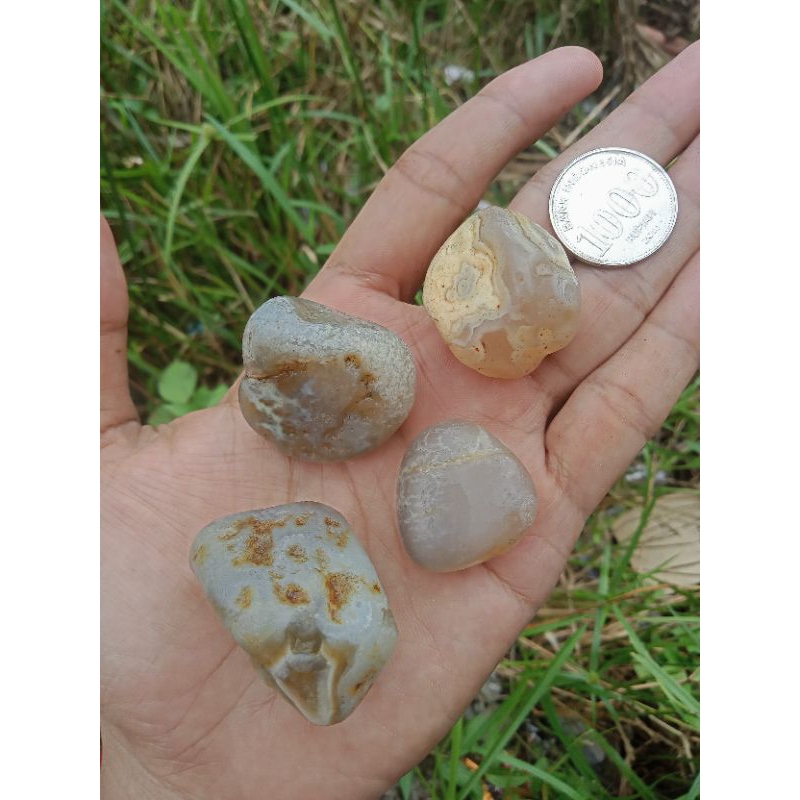 ✅ 4 pcs Batu Cimpago Ujung Tanjung ( Rough / Bahan Batu Akik Natural - bukan bacan obi red baron ido