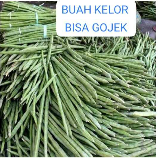

Kelor Buah Klentang 1 kg untuk sayur asam