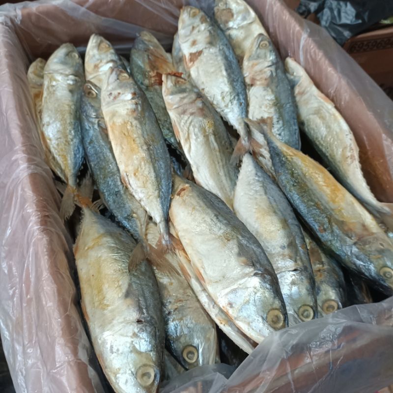 

IKANASIN PEDAKEMBUNG MERAH. / IKANASIN PEDA KEMBUNG SIEM .nto1kg.